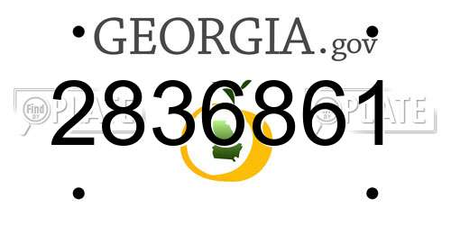 2836861 Georgia License Plate