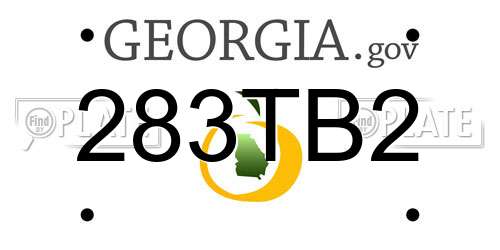 283TB2 Georgia License Plate