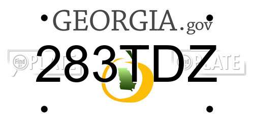 283TDZ Georgia License Plate