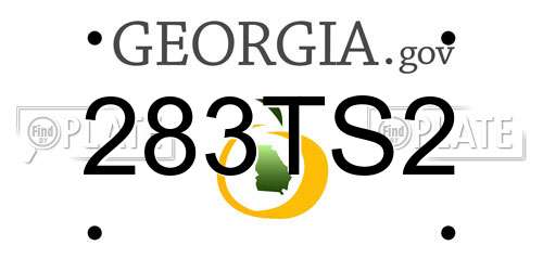 283TS2 Georgia License Plate