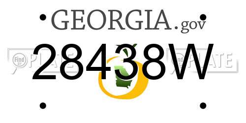 28438W Georgia License Plate