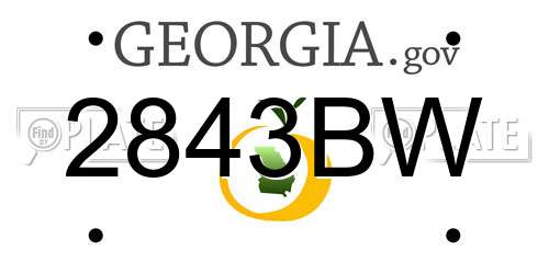 2843BW Georgia License Plate