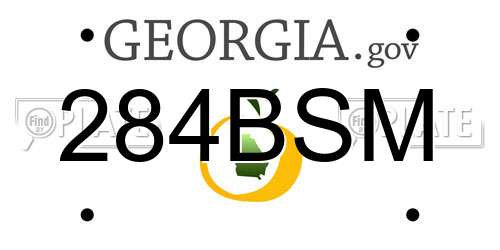 284BSM Georgia License Plate