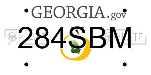 284SBM Georgia License Plate