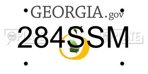 284SSM Georgia License Plate