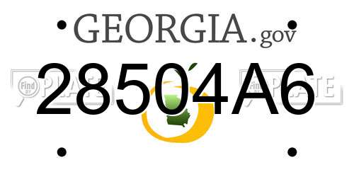 28504A6 Georgia License Plate