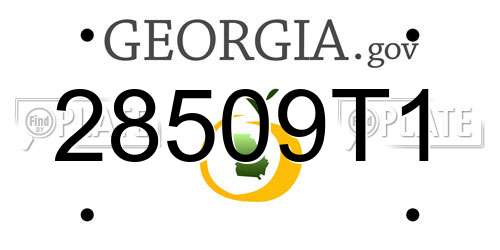28509T1 Georgia License Plate