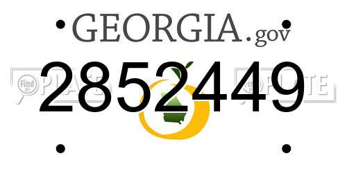 2852449 Georgia License Plate