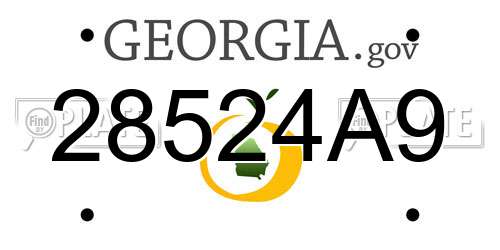 28524A9 Georgia License Plate