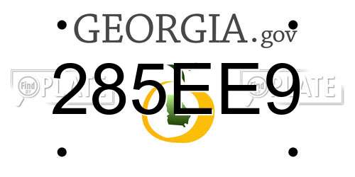 285EE9 Georgia License Plate