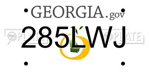 285LWJ Georgia License Plate