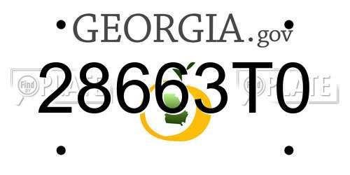 28663T0 Georgia License Plate