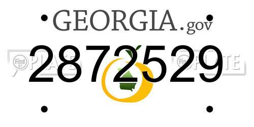 2872529 Georgia License Plate