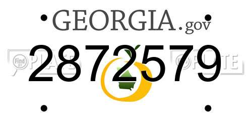 2872579 Georgia License Plate