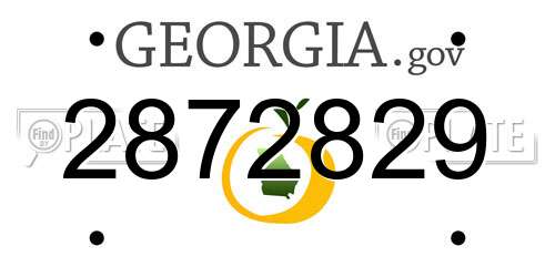 2872829 Georgia License Plate