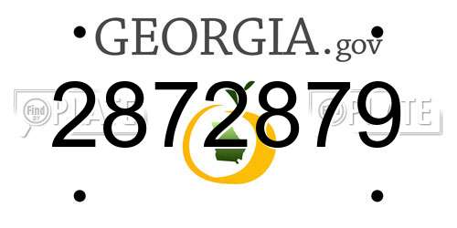 2872879 Georgia License Plate