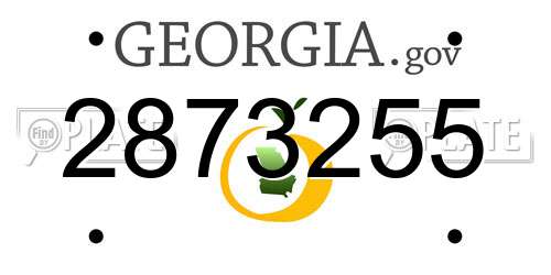 2873255 Georgia License Plate