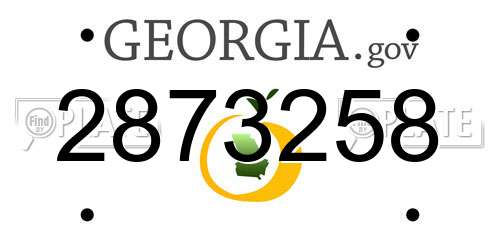 2873258 Georgia License Plate
