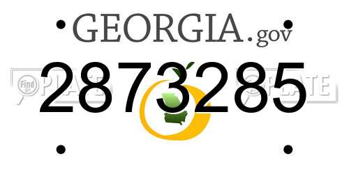 2873285 Georgia License Plate