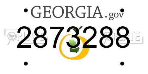 2873288 Georgia License Plate