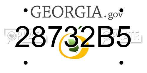 28732B5 Georgia License Plate