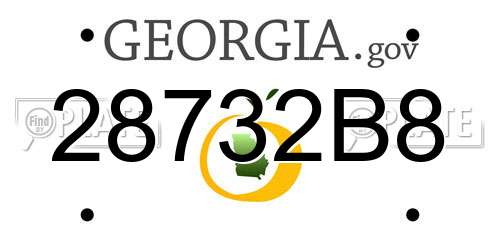 28732B8 Georgia License Plate