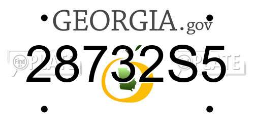 28732S5 Georgia License Plate