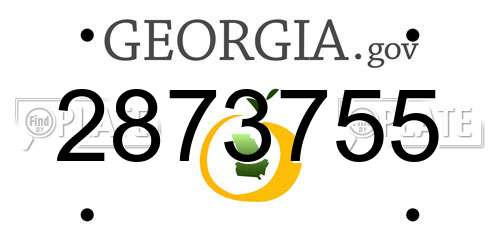 2873755 Georgia License Plate