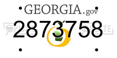 2873758 Georgia License Plate