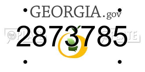 2873785 Georgia License Plate