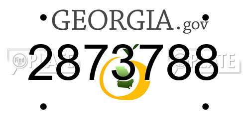 2873788 Georgia License Plate
