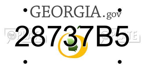 28737B5 Georgia License Plate