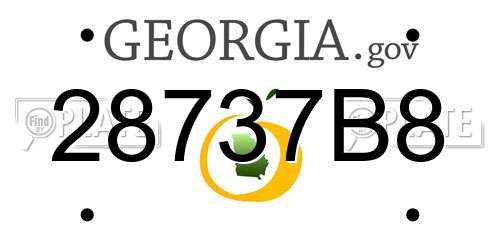 28737B8 Georgia License Plate
