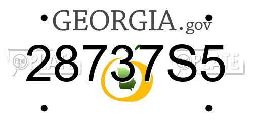 28737S5 Georgia License Plate