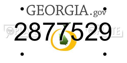 2877529 Georgia License Plate