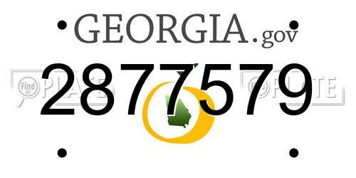 2877579 Georgia License Plate