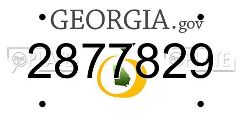 2877829 Georgia License Plate