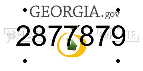 2877879 Georgia License Plate