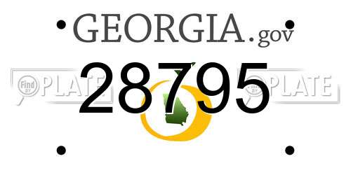28795 Georgia License Plate