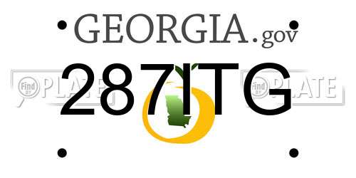 287ITG Georgia License Plate