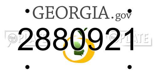 2880921 Georgia License Plate