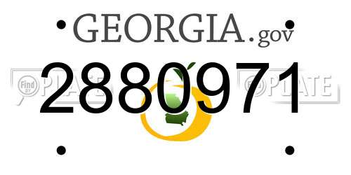 2880971 Georgia License Plate