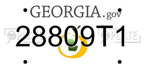 28809T1 Georgia License Plate