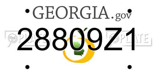 28809Z1 Georgia License Plate