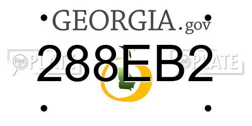 288EB2 Georgia License Plate