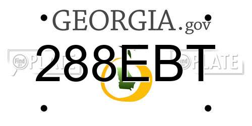 288EBT Georgia License Plate