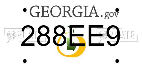 288EE9 Georgia License Plate