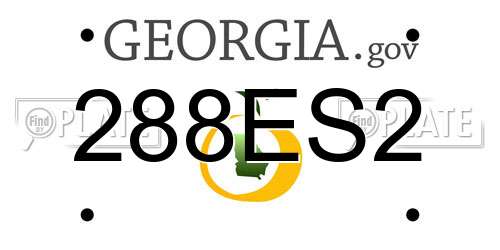 288ES2 Georgia License Plate