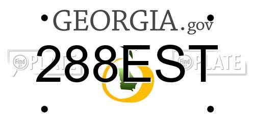 288EST Georgia License Plate