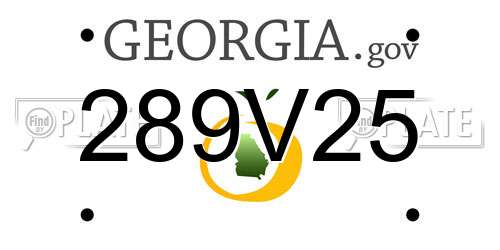 289V25 Georgia License Plate